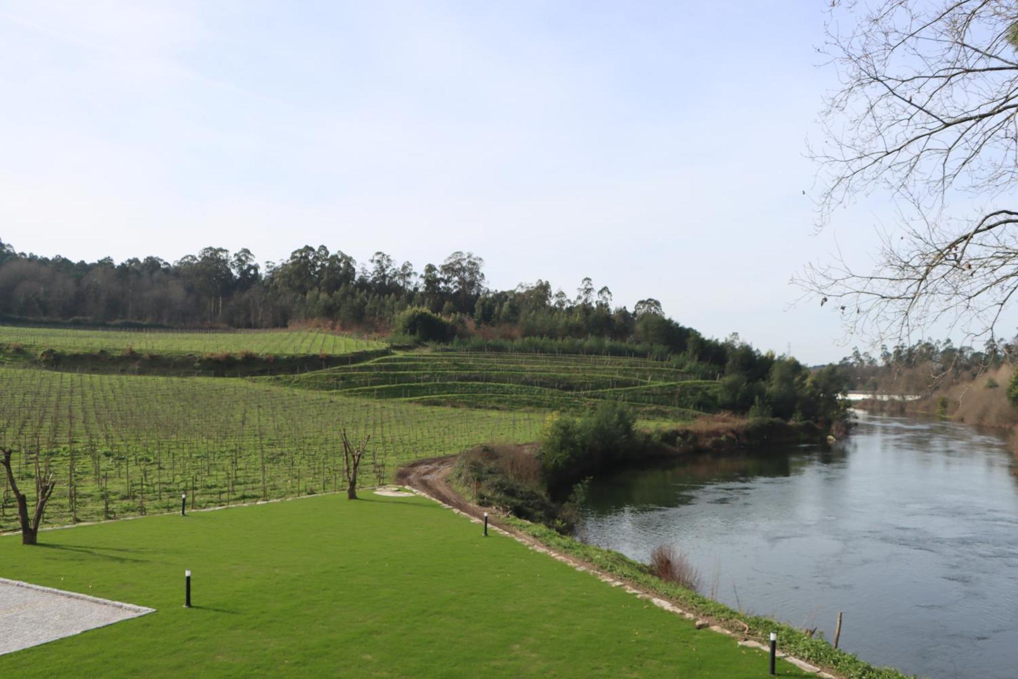 Quinta Das Areias - Solar Da Pena Braga Exterior foto